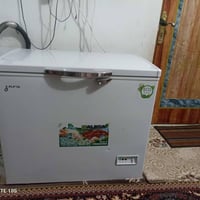 مجمدة • حجم وسط • نظيفة جدا