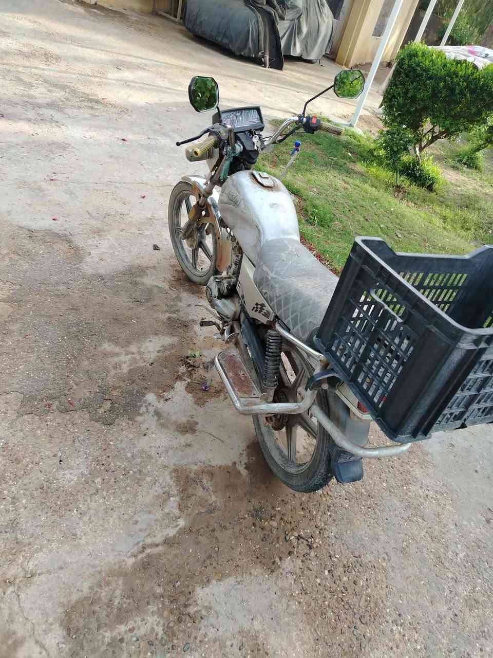 فيوم اصوليه بيها أوراق يردوها ب300 وبيها مجال
اللي يريدها هذا رقم راعيها ‏‪***********‬‏
