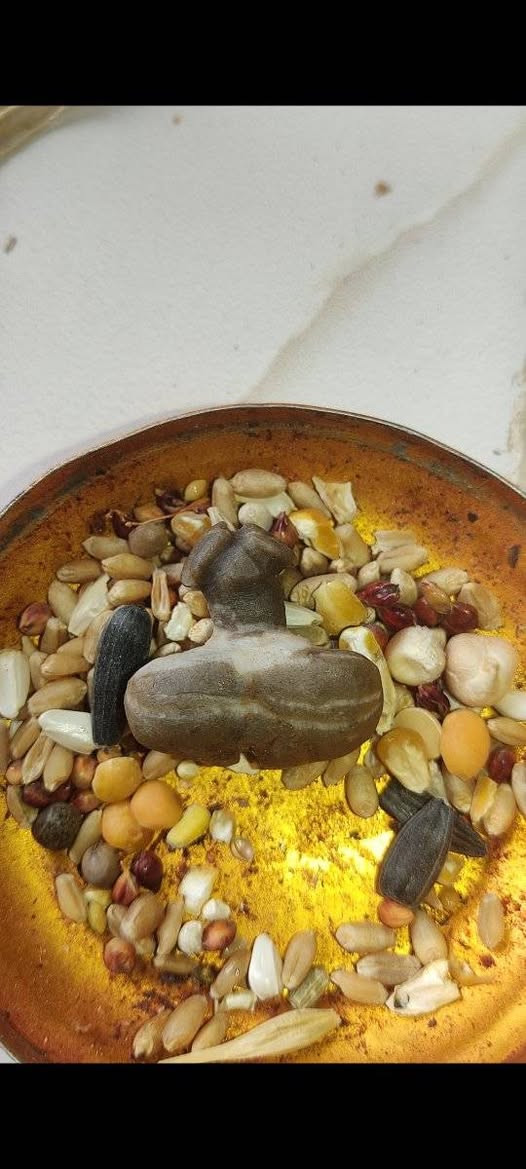 حجار سلطاني شغل سفلي  قديمات مال دفع تقويه علاقات رومانسيه حب وحنان عجاب شديد فووول مال زماط وتحدي للبيع ***********
