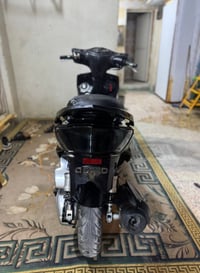 سكنس فحل • ياباني • سلف عاطل