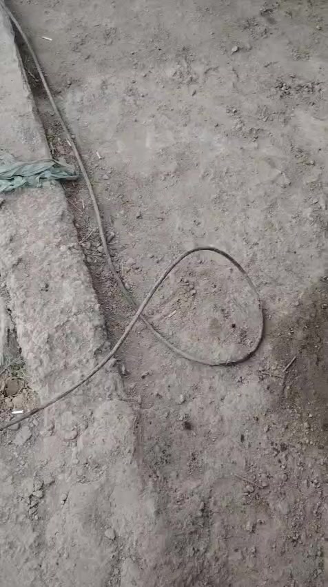 يا الله مولد بيركس اوتو  30 كيفي 120 امبير شغال كامل
لاستفسار ***********
