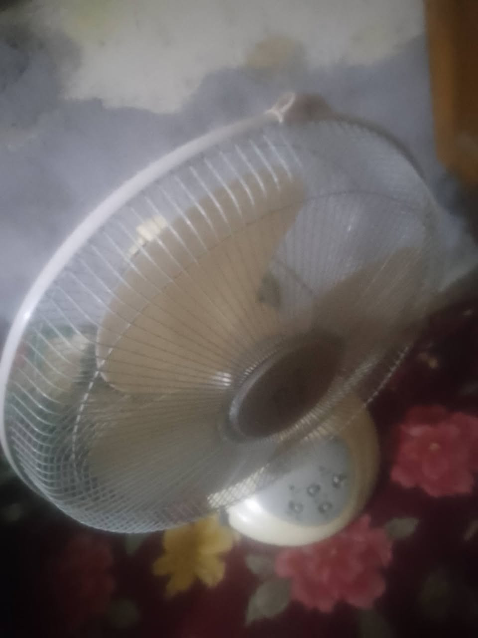 سلام عليكم غراض باله ونضيفات كلشي مابيهن خاص مفتوح


**إذا كنت صاحب هذا الإعلان وتريد حذفه لأي سبب، رجاءا أرسل رسالة إلى الدعم الفني**