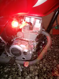 دايون عظم • 2020 • كربلاء حي القادسية