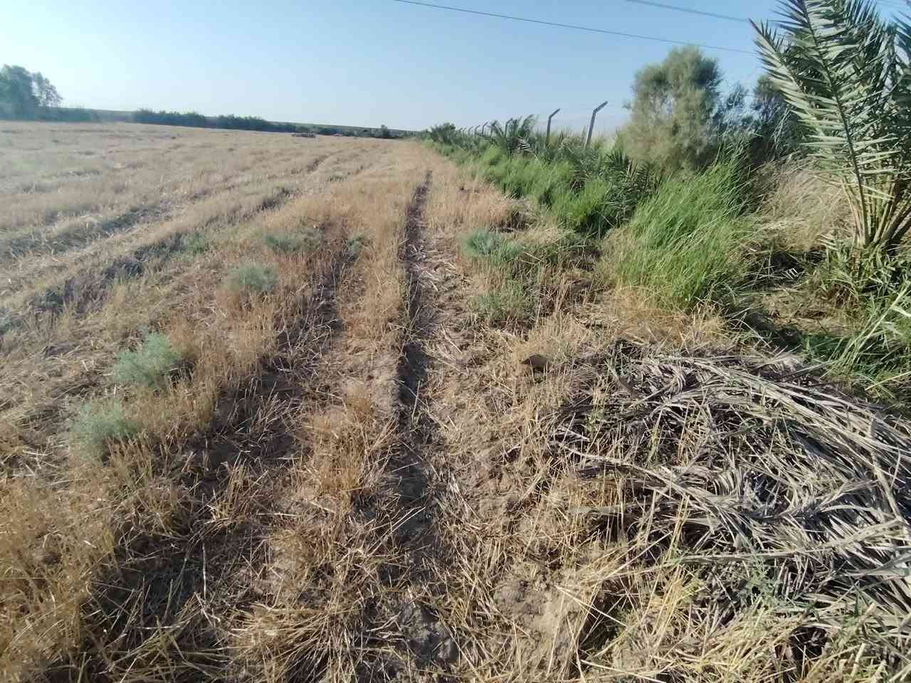 ٤دوانم للبيع كوت طريق عماره ميسان منطقة البيضاء طابو زراعي ١١٧قريبات جدأ ع شارع لهن شارع خاص بيهن خدمات ماء كهرباء مدارس حصه روائيه لهن يحتون ع 50نخله مثمره الارض حلوه وصالحه لزراعه سعر ل4دونم 45مليون وبيهن مجال بسيط جدأ


**إذا كنت صاحب هذا الإعلان وتريد حذفه لأي سبب، رجاءا أرسل رسالة إلى الدعم الفني**