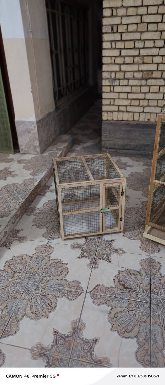 نجارة الاقفاص و الخانات حسب الطلب
عـمـل كـافـة الاقـفـاص الـخـانـات الـواجـهـيـات
المـكـان الـرمـيـثـة شـارع الـنـص قـرب حـسـيـنـيـة الـسـادة
     #وتـسـاب ***********
