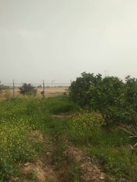 مزرعة • دونم • بيت ٢٠٠م