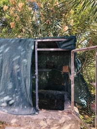 قفص للبيع 07892507091