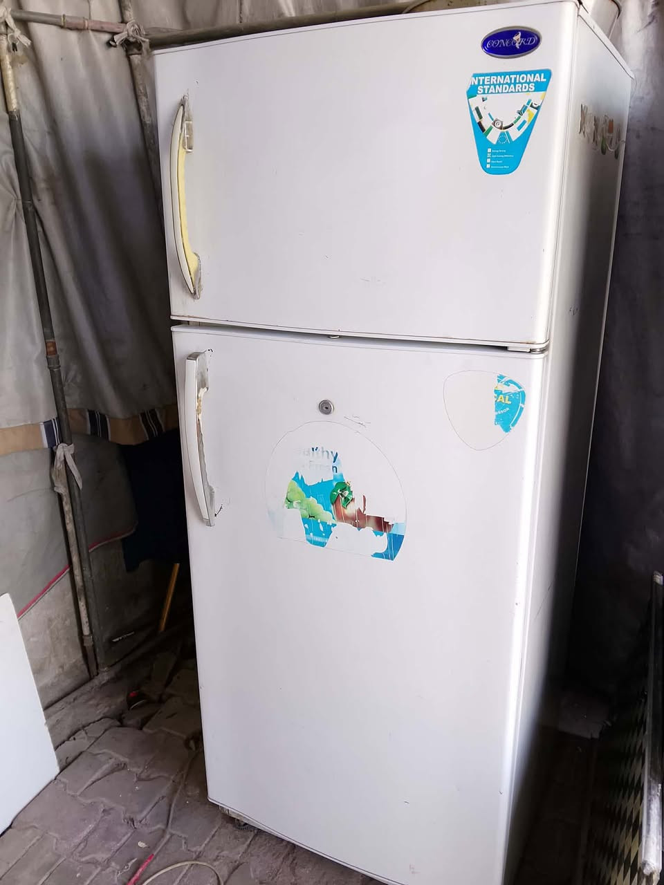 اخت جديده  للبيع


**إذا كنت صاحب هذا الإعلان وتريد حذفه لأي سبب، رجاءا أرسل رسالة إلى الدعم الفني**