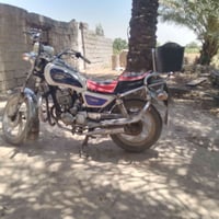 بدون تفاصيل • مجهول النوع • للبيع