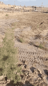 ارض طابو زراعي سند 25 مساحتها أكثر من دونم يعني أكثر من 2500 مسيجه بي ار سي وبيها أساس خريطه كامله 300 متر صب كونكريت موقعها قرب دور الكم السعر 65 وبيها مجال للاستفسار  الاتصال على الرقم ***********
