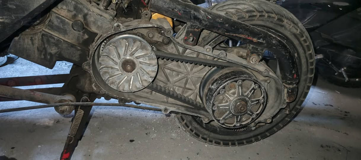 سكنس نثية راجعة 59 كور شكل بلادي حجرة جبيرة ضفيرة ومكينه مال فحل شغالة بس بيها نقوصات بسيطة وطافية هسه صارلها فترة ومتروكه 10 ايام تقريبا ادخلي خاص ونتفاهم
مكاني بغداد الحرية الدولعي


**إذا كنت صاحب هذا الإعلان وتريد حذفه لأي سبب، رجاءا أرسل رسالة إلى الدعم الفني**