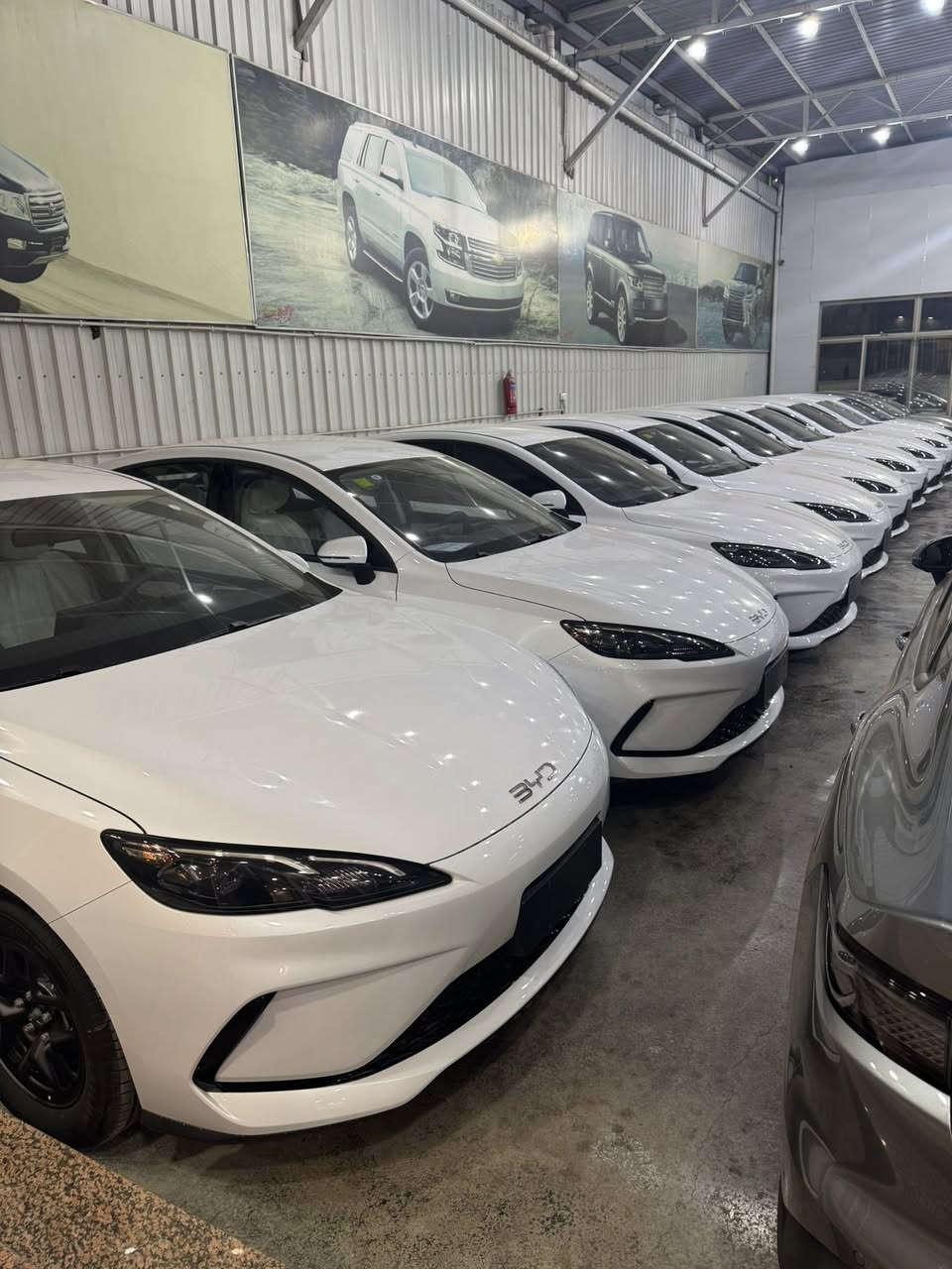 السلام عليكم يتوفر بي واي دي سيل 5 ودستروير نضام اقساط بدون كفيل مقدمه 70$ ورقه وشهري 500$ 
بغداد معارض البياع شركه تاج الدين
للاستفسار ***********
