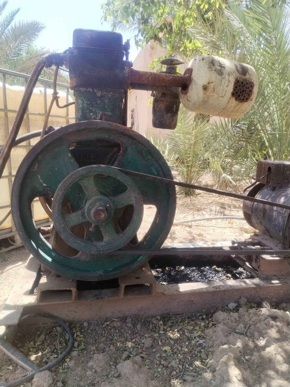 للبيع مولدلسترفرد مارشال ابو8 مولده سبعه ونص فلاوين كبير رقم***********) *********** المكان ديالى العضيم

