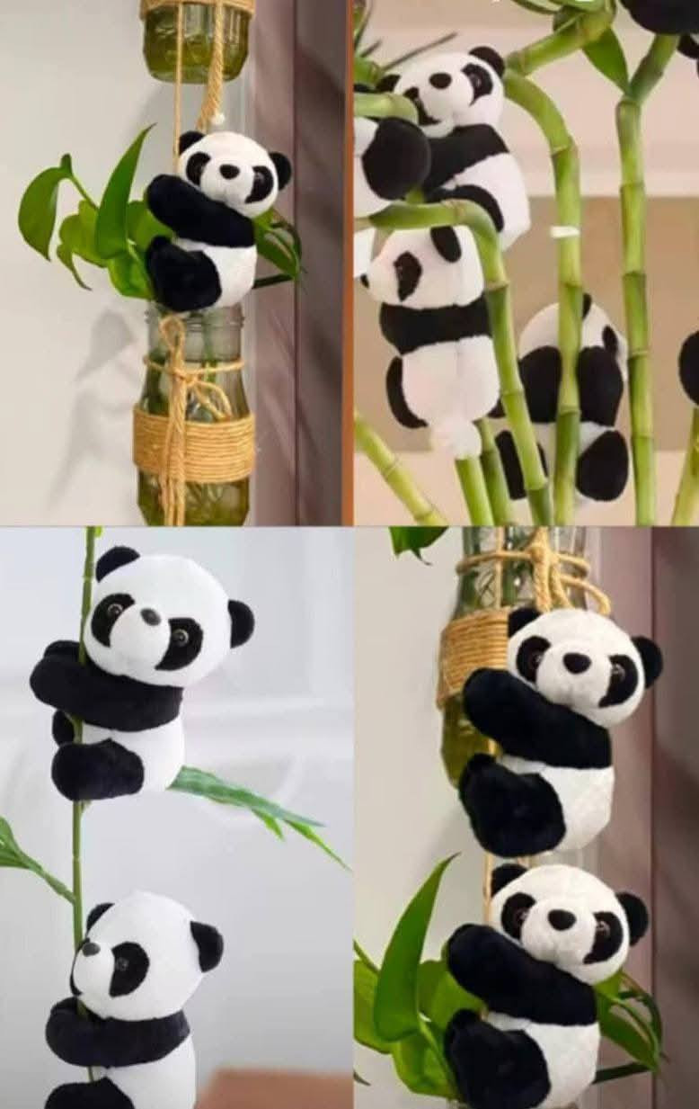 🌿🐼🦊💚
مين يقدر يقاوم هالجمال؟ 😍
اكسسوارات نباتات الباندا والراكون اللطيفة 🐼
تحسهم متسلقين الشجر فعلاً 😂💚
لواسق للنباتات المتسلقه مثل البلاب 

ديكور يفتح النفس، يضيف طاقة حلوة وابتسامة بكل زاوية 🌞🌱
مناسب للبيت، المكتب، وحتى كهدايا 🎁✨

✨ الكمية محدودة لا يفوتك الجمال 😍
📩 احجز الآن قبل ما يخلص 💨
***********

