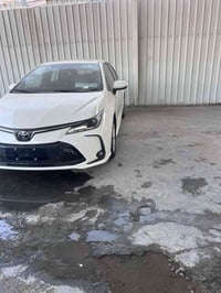 هايبرد • بغداد باسمي • ماشية ٦٠٠٠