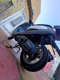 منغولي • سلف • نضيفه