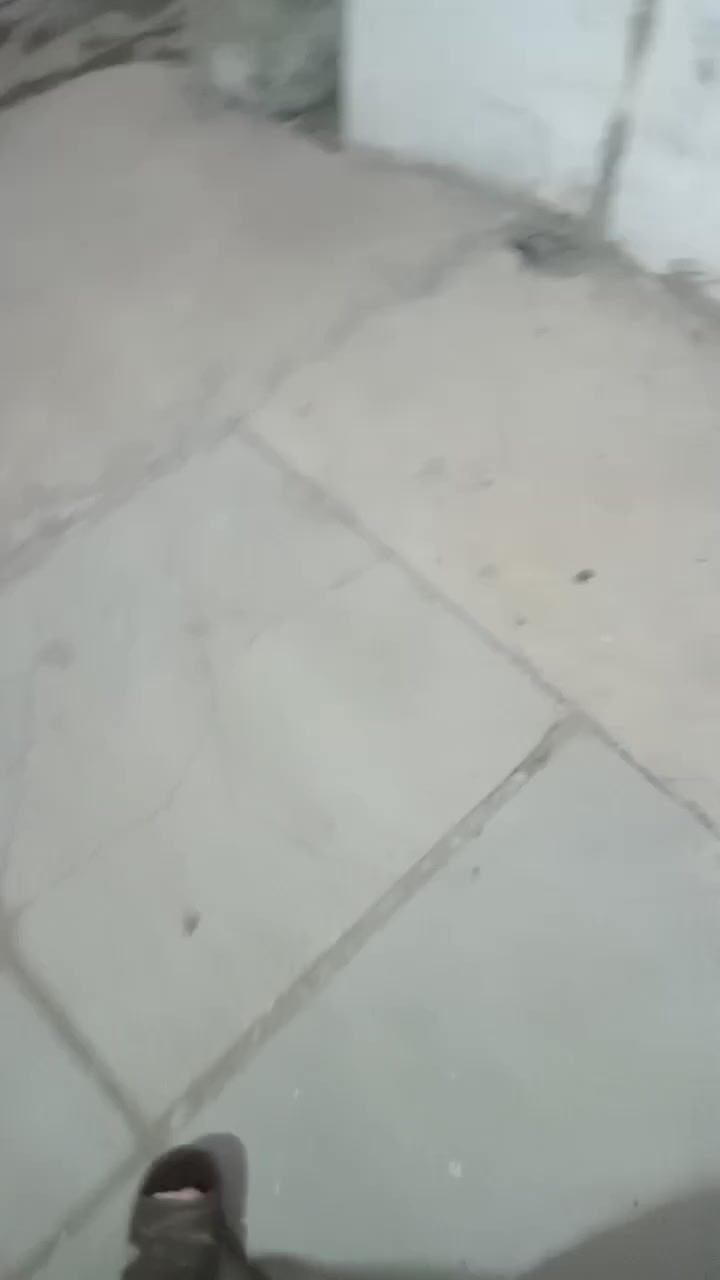 بيت خلفي مساحته 100 متر مع الممر يحتوي على هول وغرفة ومطبخ ومجموعة صحيات الموقع الكمالية شارع الجامع فرع مقابل المدارس خلف شارع المحافظ للاتصال واتساب ***********
