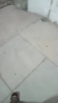 الكمالية شارع الجامع • بيت خلفي • ١٠٠م