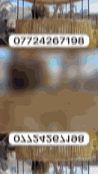 متوفر لدينا /✅ خشب طبيعي بأنواعه

✅قصب طبيعي نظيف لديكور والجلسات العربيه / ✅حصير القصب الكراسي والسعف والخيزران كراسي سياج الديكور والسقف الجدران والمطعم والمزارع والشاليهات بادق التفاصيل التراثيه  تراثي عمل يدوي..

جميع منتجاتنا تستخدم للمنازل والاستراحات والكشتات ومشاريع الديكور

للإستفسار... يرجئ مراسلة الصفحه

او الاتصال علئ الأرقام التاليه.

***********

يوجد توصيل جميع محافظات العراق
#برند #بغداد #بغداديات #اكسبلور #ترند اغاني المنصور الدوره الكراده زيونه مول_المنصور مول_بغداد مول_زيونة جامعة_بغداد جامعةبغدادالجادريه جامعة_البصرة 
البصرة الجادرية شارع_فلسطين شارع_المتنبي الاعظميه مدينة_الصدر الكاظميه بغداد_العراق🇮🇶 العراق دريم_ستي_مول مطاعم ملاهي ملاهي_بغداد
