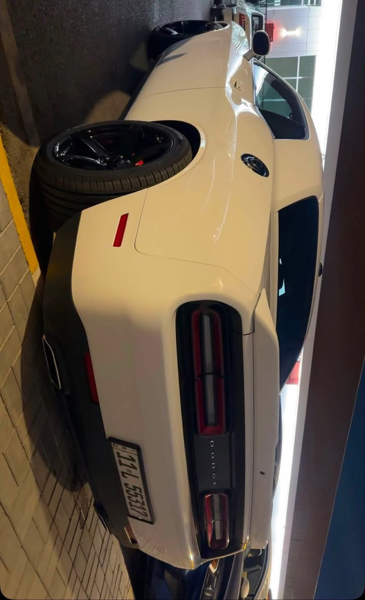 سلام عليكم جالنجر 2022 GT ابيض رايدها مراوس ب جالنجر srt 
ماشية 49 مايل
حادثها جاملغ وبونيد بلادي
شاشة جبيرة
بانزين محسن
تشغيل عن بعد
منضومة زينون وسوارات الوان 350$ عمل محمد المطيري
ويل نجمة خسفة قوية تخم تاير جديد 275 امامي خلفي
سيارت مصروف عليها وما تصرف عليها ربع
*********** 
رقم الشاصي 203CDZJG4NH214661
ملاحظة كل قطع السيارة بلادية بوونيد وجاملغ المتضرر ماكو اي شي تايوان
اللاسق الاسود مشيول
