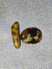 عقد • سلطاني • داودي