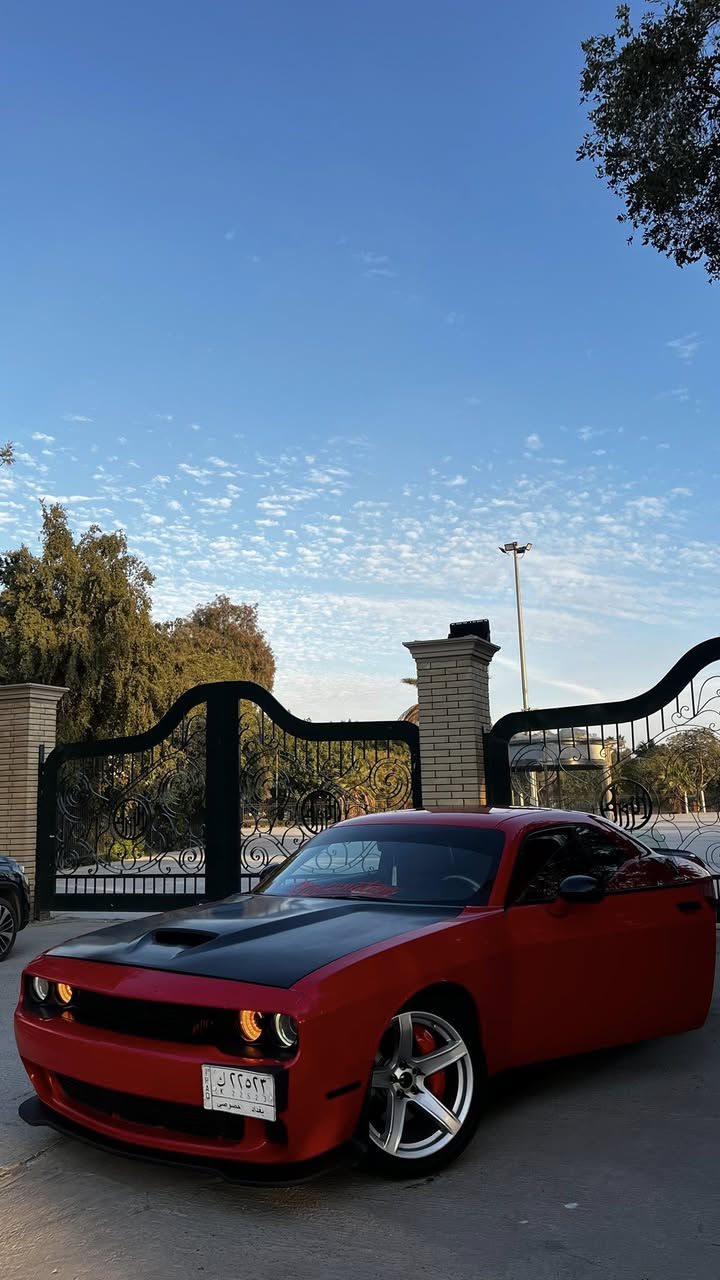 اللهم صلي على محمد وآل محمد 
جالنجر ارتي 19 بغداد ماشيه 70 ترهم بيع و ترهم مراوس 
قطعة صبغ جاملغ بس والبنيد البلادي موجود وبيه تعمير بالشاصي مال حادث مواصفات الارتي معروفه والصور الحادث و السونار بالمنشور 
السعر 168 وبيه مجال 
مكاني بغداد حي الحسين 
***********
