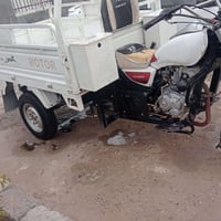 ستوته • موديل ٢٣ • كمرك