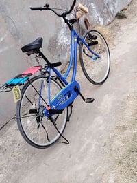 باسكل • نضيف • عد لبوسعد