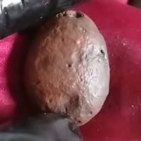 هبهاب • أصلي • بغداد شعب