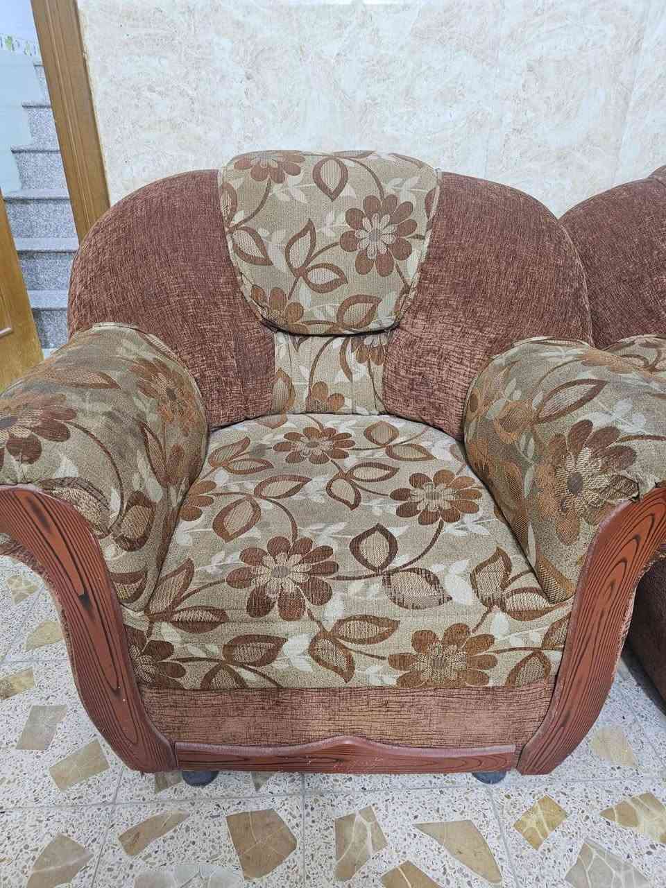 تخم قنفات تسكَام قووي ١٠ نفرات مثل ماواضح بالصوره سعره ٢٢٥ وبي مجال مكان نجف حي ميسان *********** النجف, العراق
