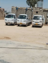فاو ٢ • أوراق كاملة • تكريت