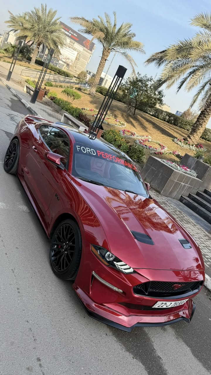 موستنك GT 2022 بريميوم تراك بكج Pp1
سلام عليكم فورد موستنك GT 2022

من فئات قليله بل عراق تجي كشنات ريكارو وسقف كنتار اصل من امريكا راديتر اكسل صدر ودبل كهربائي يختلف فجوج 6 بستم وليس اربعه نفس مال جي تي بقيه فولل اعلى شي تجي بل مواصفات

مكينه (8سلندر) 5000cc

كير اوتو (10)نمر

ماشيه(30 الف)ميل

مكان (بغداد-الحارثيه)

لون (كرزي مميز)

رقم تلفون (***********)

السعر (238ورقه) ومجالها كلش بسيط

رقم اربيل الجديد فحص هزة جديد وسنويه باسمي تحويل ثاني يوم يعني ما تحير بصوت اكزوز لو وشومات لن هزة جديده

سياره حادثها ربع جاملغ امامي وربع بنيد  جاملغ مبدل وكالة بدون معجون وبدون صبغ نفس لون

(قطعه وحده صبغ فقط بنيد) بدون دواخل كفالة من جكه الابره ايرباك راجع سستم لا راديتر لا مروحه ايشي يخص مكينه مواصلته ضربه نهائي وصور الحادث بل منشور

وساحب تقرير  كار فاكس مالتها  بفلوس ايضاً ما بيها اي حادث مسبق ب امريكا او غرق الي يحب راسلني واتس ادزهله تقرير

سياره كير مكينه اكسل كاردن صدرها بحالة الوكالة برغي ما مفتوح بيها بجم كبس البراكيته اماميه حتى ضربه مواصلتها

سياره من دخلت حد الان مسويلها ادامة وصيانه كامله بشركة  فورد القاصد دهن  وفلتر دهن و فلاتر شوته و تبريد كلة وكالة اصلي

دشبولها ماكو اي كلوب معتلك كله صافي

نجي على مواصفات فول 1/1

١- تشغيل عن بعد

٢- شاشة كبيرة sync 3 كار بلي

٣-اكتف اكزوز حسب المود تفتح بوابات(نورمال-سبورت-تراك)

٤-فجوج بريمبو 6بستم

٥-عداد ديجتال يتغير ثيم حسب المود

٦-دمام صوت بل صندوك وكالة

٧-تحديد مسار

٨-رادار امامي

٩-رادار جانبي(نقطة عمياء)

١٠-رادار خلفي

١١-حساسات خلفيه

١٢-كامرة خلفيه

١٥-ستيرن تدفئه هيتر

١٦-خمس وضعيات قياده(نورمال-سبورت-تراك)

١٧-ترحيب بل مرايه

١٨-هيترات بل مرايه

٢٠-سستم سماعات

٢١-لايت زنون ابيض من وكالة

٢٢-شعار الموستنك ضوئي من الابواب بلادي

٢٣-شعار موستنك ضوئي متغير بل دوسات بلادي

٢٤-كيجات تراك بكج (اويل برشر) و( فاكيوم) بل دشبول

٢٥-كشنات جلد

26-سترس بار فوك مكينه من وكالة
