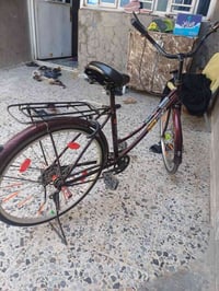 باسكل • حجم ٢٤ • ماروني