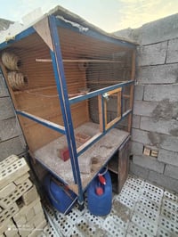 إعادة نشر بسبب الوعود الكاذبه... قفص متر في متر نزال 70. اتصل وتدلل 07...