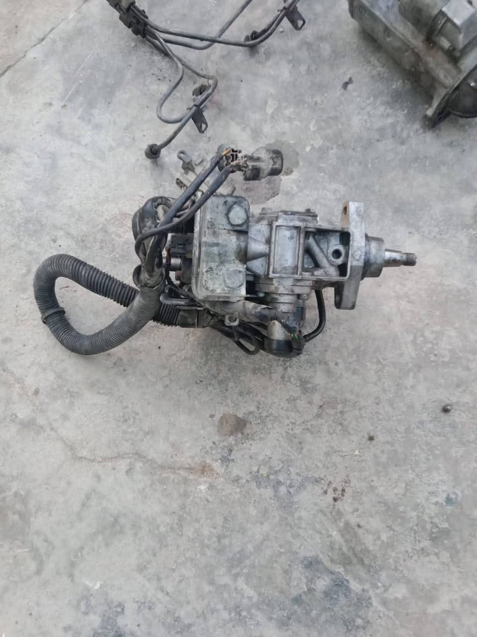 متاح
‏‪0770 736 3597‬‏
