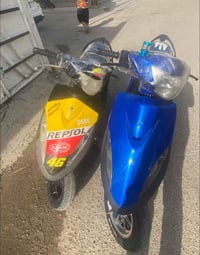 ماكسات • شغالات • مكاني البلديات