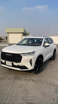 هافال • ٢٠٢٤ • ١١١٠٠ كم