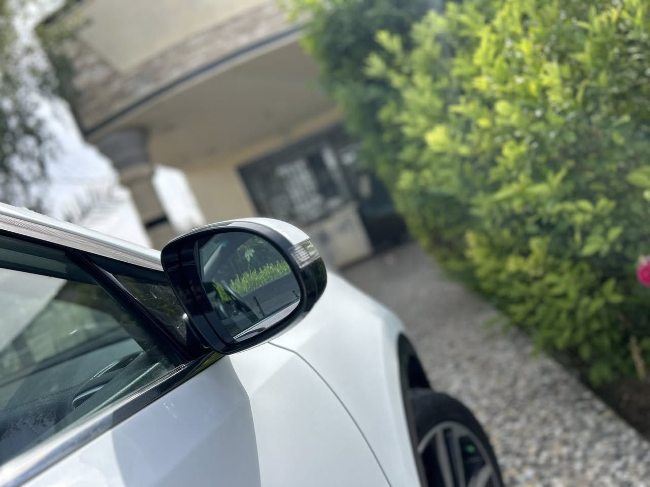 للبيع او المراوس
سبورتج 2019 خليجي استلام الشركة الدولية رقم  بغداد الدولي الجديد سنوية وهزة جديدة باسمي محرك 2000 دوش داخل حمصي لونين كشنات جلد اشاير بالمري تحكم ستيرن جهتين يدات نيكل مري شفط 3 انظمة قيادة (ايكو-سبورت-نورمال) حساس امامي خلفي سايد بريك بالرجل دوارة قطعتين تبريد ماشية 85 الف حقيقي شرط الفحص كتلوكات الشركة دبل سويج بلادي محرك وكير بلادي شرط مكفولة كفالة عامة من الصبغ والفتح والتبديل 
السعر 186 وبيها مجال 
العنوان بغداد  
هاتف ***********
***********

