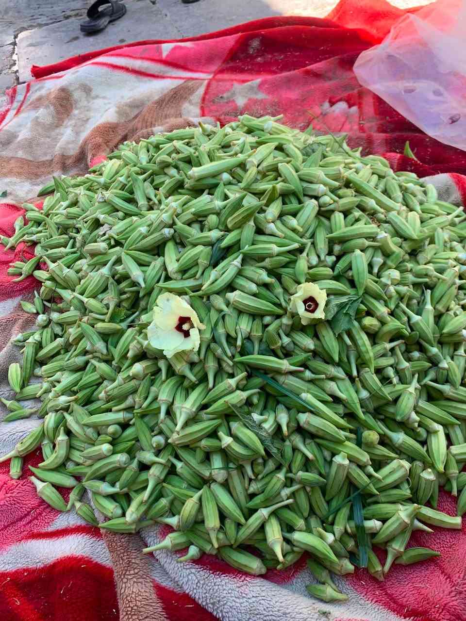 باميه عراقيه ناعمه مالت مزرعه سعر الكيول الفين دينار ويوجود توصيل داخل الشاميه والصلاحيه شرط شوفها اذا معجبتك ترجع


**إذا كنت صاحب هذا الإعلان وتريد حذفه لأي سبب، رجاءا أرسل رسالة إلى الدعم الفني**