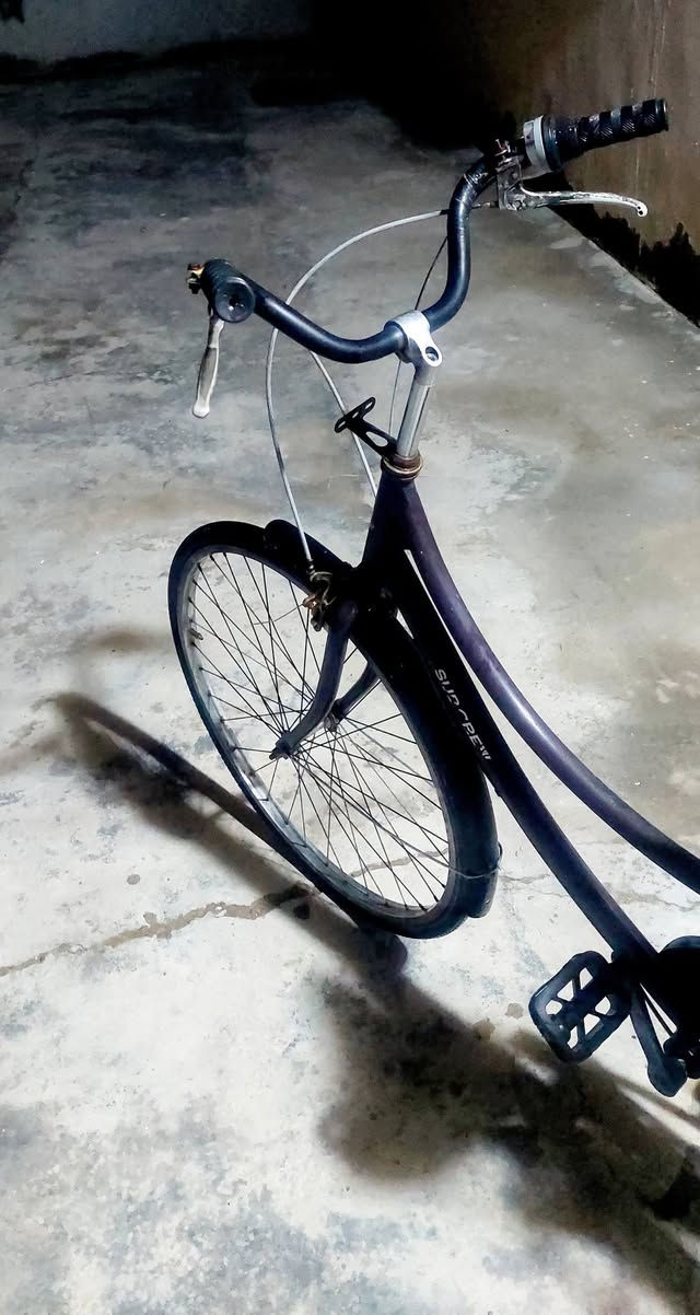 سلام عليكم باسكل حجم ٢٦نضيف للبيع سعر 65 وبي مجال مكان ديالى شهربان


**إذا كنت صاحب هذا الإعلان وتريد حذفه لأي سبب، رجاءا أرسل رسالة إلى الدعم الفني**