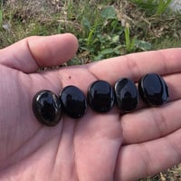 شفة العبد • محابس • فص