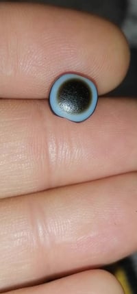 يمنية • قديمة • اصيلة