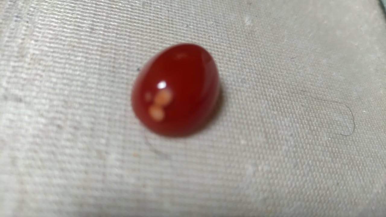 للبيع


**إذا كنت صاحب هذا الإعلان وتريد حذفه لأي سبب، رجاءا أرسل رسالة إلى الدعم الفني**