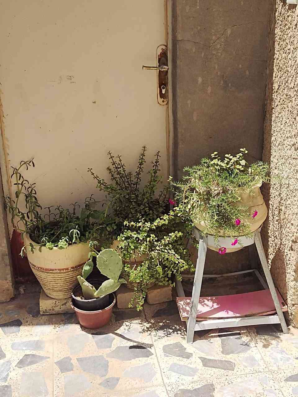 كربلاء شهداء سيف سعد
سنادين ٣كبار فخار كلهن ب٣٠
ميز بلازمه ب٤٠ اوفن ب٥٠ قفل استخدام كم شهر باسكل شحن عوزه بطاريات ب٦٠  مرايه ب١٥ قفل


**إذا كنت صاحب هذا الإعلان وتريد حذفه لأي سبب، رجاءا أرسل رسالة إلى الدعم الفني**
