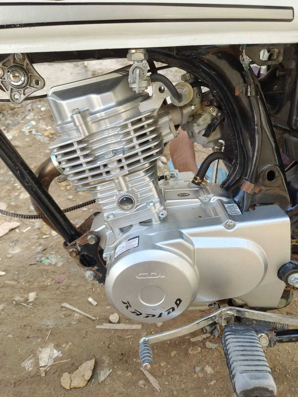 رابيدو 6 احرف اصلي للبيع او مراوس للاستفسار ***********
