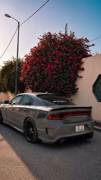 دايتونا ٢٠١٨ • SRT • ٦٩٠٠٠ ميل