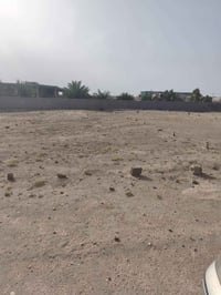 قطعه ارض زراعي الزبير شارع المكصب فرع المضخه قرب الحسينيه الذهبيه  قري...