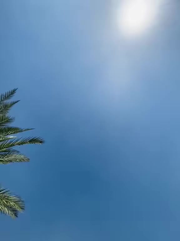 لبيع موديل 14 رقم واسط بسمي تحويل ثاني يوم  مكينه كير جديد سياره مكفوله كفاله ملاحظه بدون محجر مكان محاويل ***********. سعر 115 وبيه مجال
