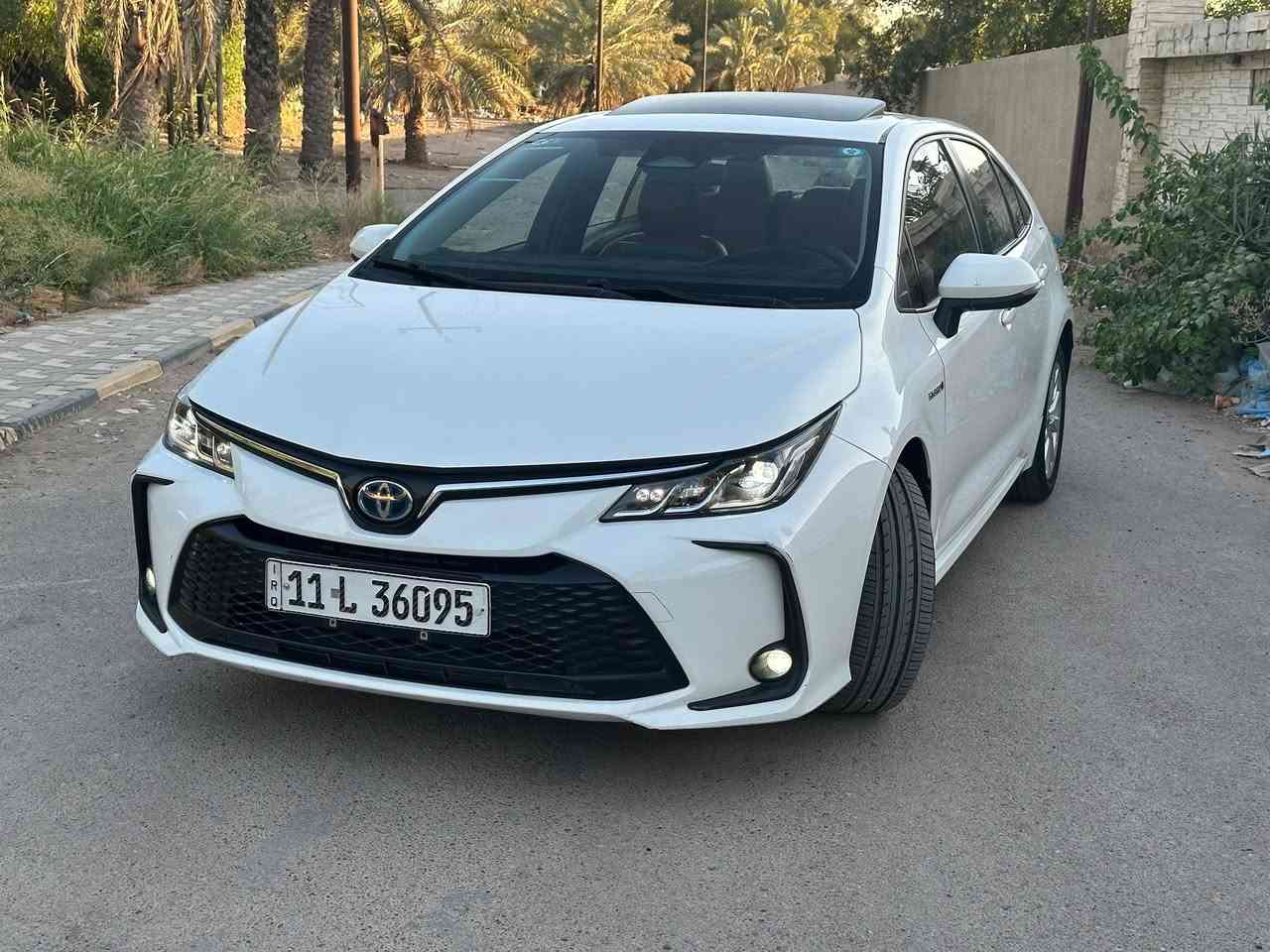 سلام عليكم
كورلا هايبرد موديل 2024

العلامة الزركة المرغوب 

داخل جلد احمر 

سيارة جديدة

رقم بغداد

السيارة بيها صبغ شي قليل جوى قبق البانزين 

ماشية 49

السعر 144

مكان السيارة بغداد/حي العامل 

الاتصال 

***********
