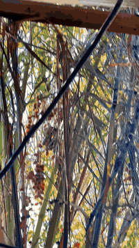 دراجا أر تسعا البيع    السعر  550 ()07809533911